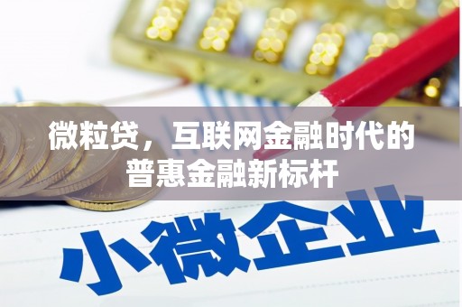 右江微粒贷，互联网金融时代的普惠金融新标杆