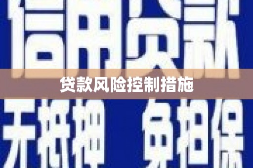 西丰贷款风险控制措施