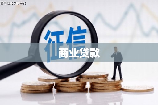 嵩县商业贷款