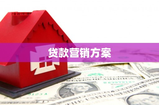 巴青贷款营销方案