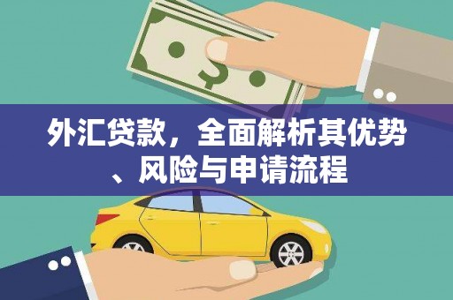 大关外汇贷款，全面解析其优势、风险与申请流程