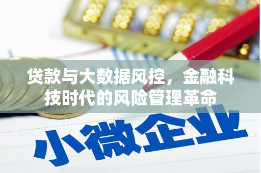 太平贷款与大数据风控，金融科技时代的风险管理革命