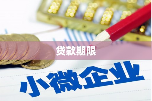 大余贷款期限