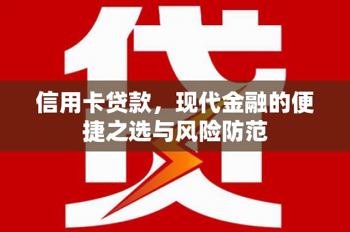 普湾新区信用卡贷款，现代金融的便捷之选与风险防范
