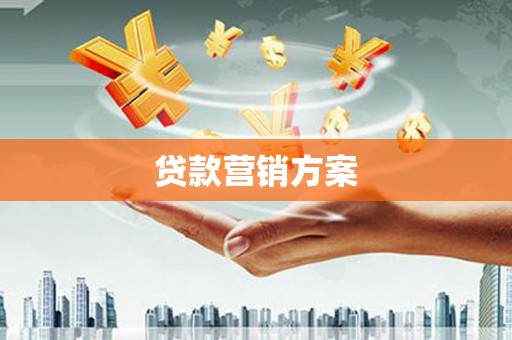 西吉贷款营销方案
