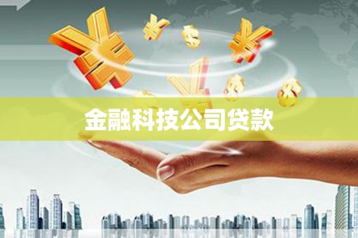 卧龙金融科技公司贷款