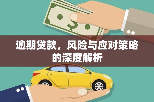 莱城逾期贷款，风险与应对策略的深度解析