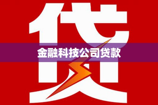 永新金融科技公司贷款