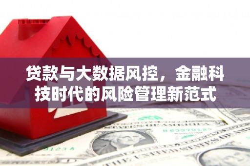 德令哈贷款与大数据风控，金融科技时代的风险管理新范式