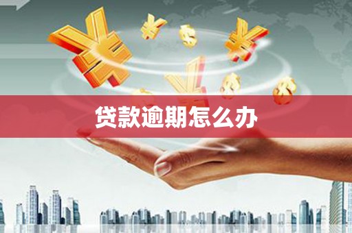 延吉贷款逾期怎么办