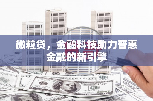 邓州微粒贷，金融科技助力普惠金融的新引擎
