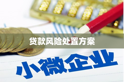盐田贷款风险处置方案
