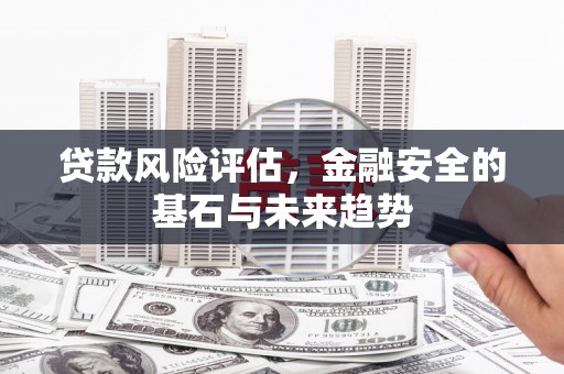 平川贷款风险评估，金融安全的基石与未来趋势