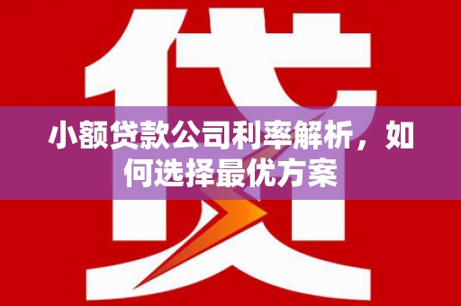 韩城小额贷款公司利率解析，如何选择最优方案