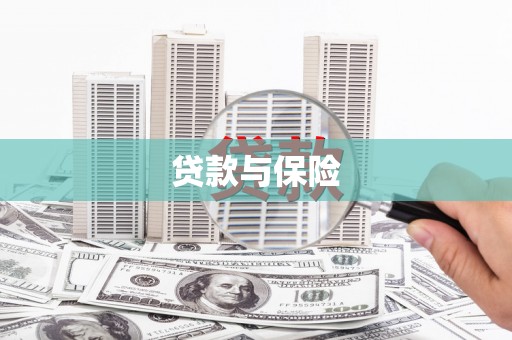 德钦贷款与保险
