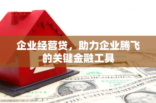 张家港企业经营贷，助力企业腾飞的关键金融工具
