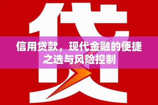 东兴信用贷款，现代金融的便捷之选与风险控制