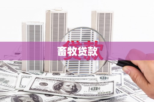 天桥畜牧贷款