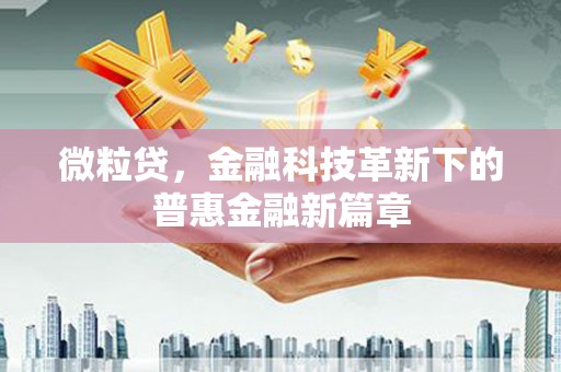 长岛微粒贷，金融科技革新下的普惠金融新篇章