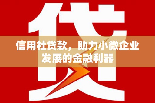 淮上信用社贷款，助力小微企业发展的金融利器