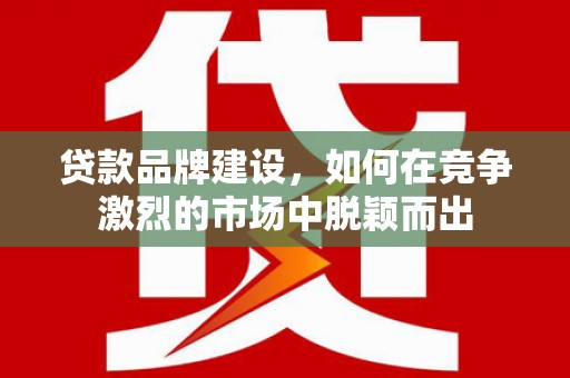 宝兴贷款品牌建设，如何在竞争激烈的市场中脱颖而出