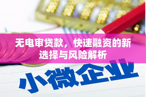 师宗无电审贷款，快速融资的新选择与风险解析