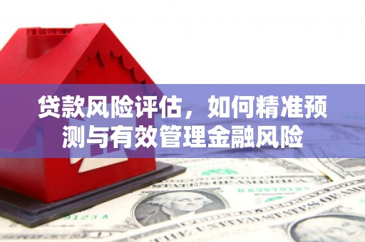 德钦贷款风险评估，如何精准预测与有效管理金融风险