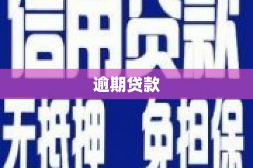 泗水逾期贷款