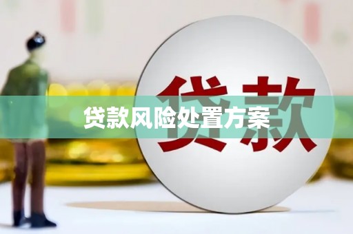 槐荫贷款风险处置方案