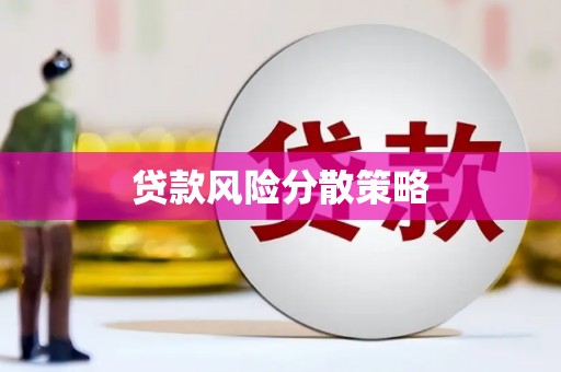 麻豆贷款风险分散策略