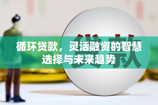 安乡循环贷款，灵活融资的智慧选择与未来趋势