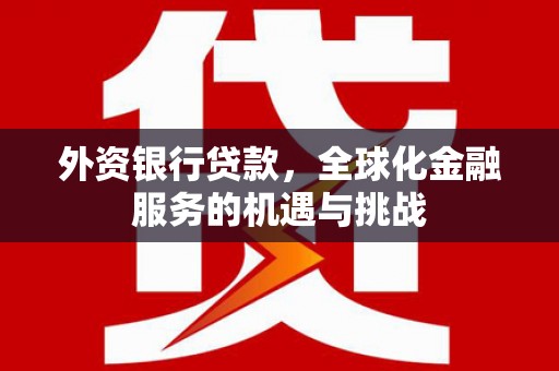 石冈外资银行贷款，全球化金融服务的机遇与挑战
