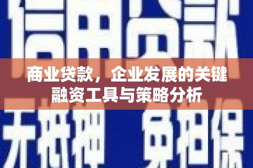 巴青商业贷款，企业发展的关键融资工具与策略分析