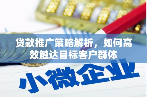 宝兴贷款推广策略解析，如何高效触达目标客户群体