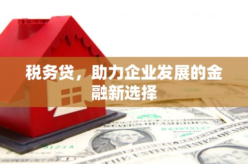港南税务贷，助力企业发展的金融新选择