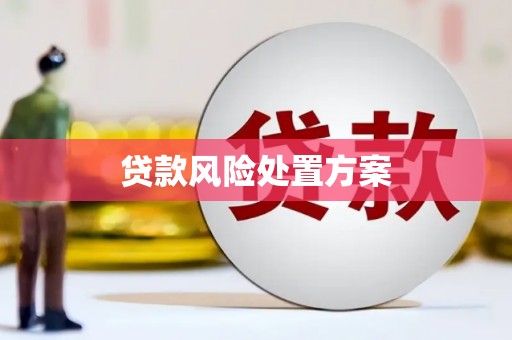 灌阳贷款风险处置方案