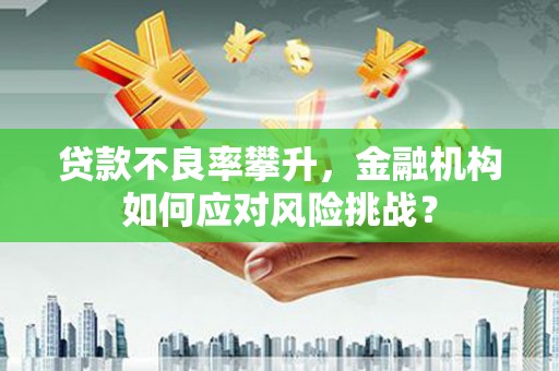 泰顺贷款不良率攀升，金融机构如何应对风险挑战？