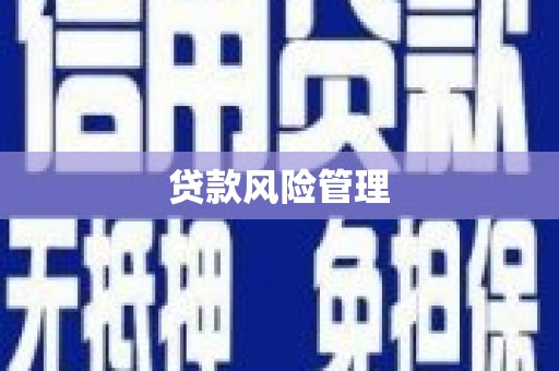 淮上贷款风险管理