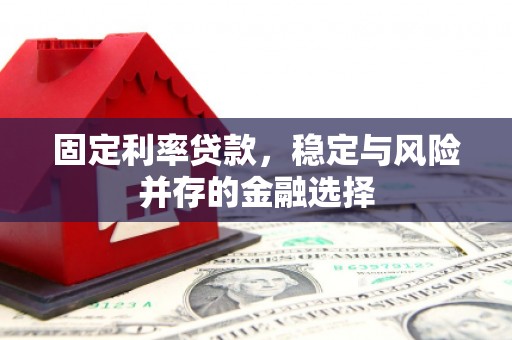 东兴固定利率贷款，稳定与风险并存的金融选择