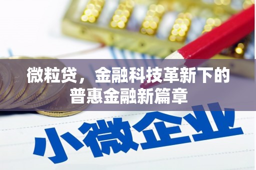 中阳微粒贷，金融科技革新下的普惠金融新篇章