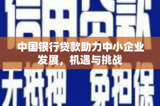 芦山中国银行贷款助力中小企业发展，机遇与挑战