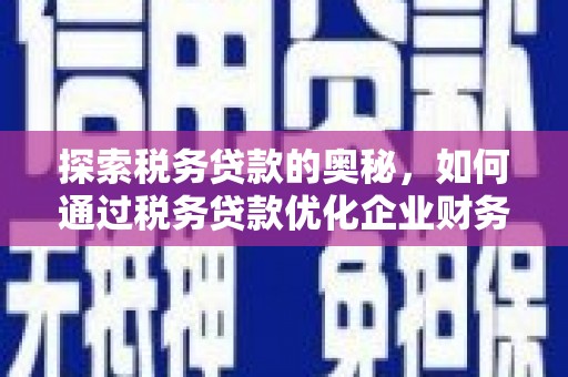 丽水探索税务贷款的奥秘，如何通过税务贷款优化企业财务