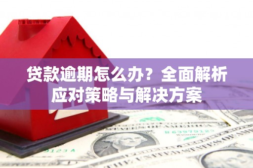灵台贷款逾期怎么办？全面解析应对策略与解决方案