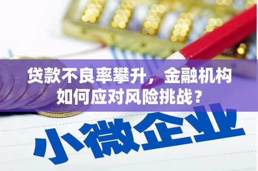 西林贷款不良率攀升，金融机构如何应对风险挑战？