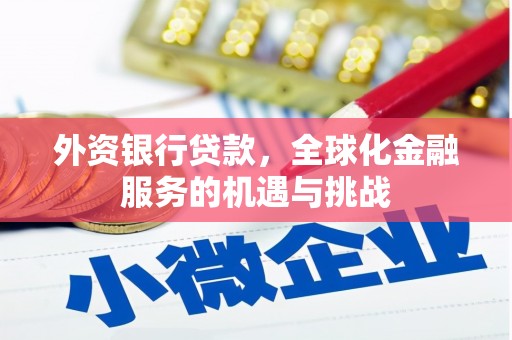 大丰外资银行贷款，全球化金融服务的机遇与挑战