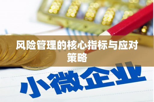 甘井子风险管理的核心指标与应对策略