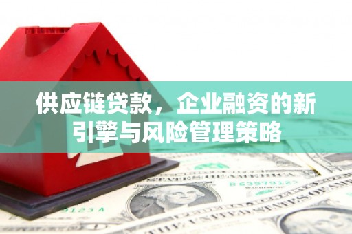 建邺供应链贷款，企业融资的新引擎与风险管理策略