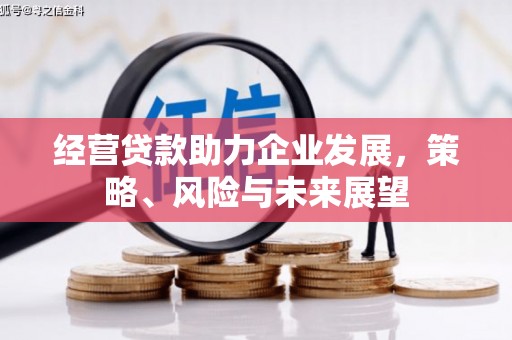 盐津经营贷款助力企业发展，策略、风险与未来展望