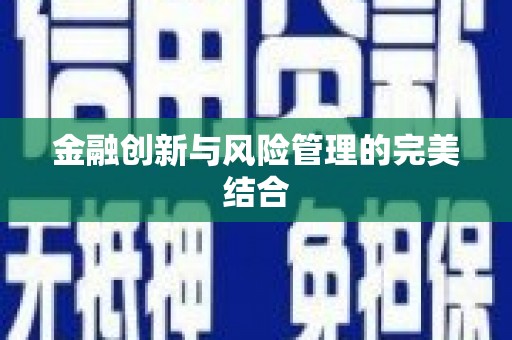 新田金融创新与风险管理的完美结合