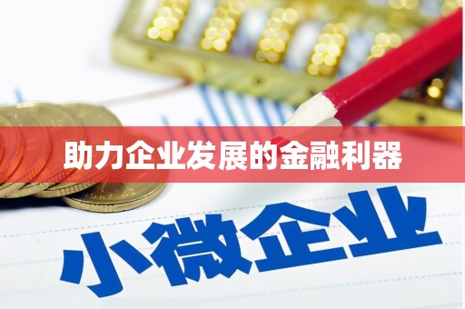 岳塘助力企业发展的金融利器